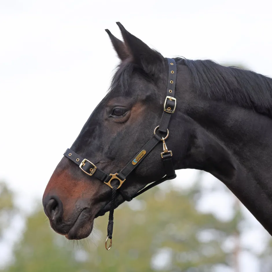 Shires Equestrian ARMA Control Headcollar