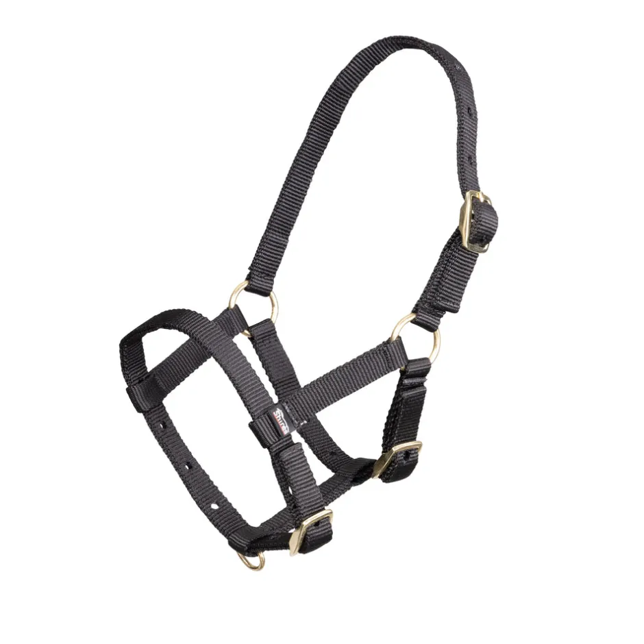 Shires Equestrian ARMA Foal Headcollar