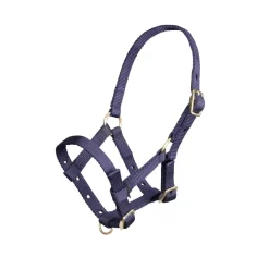 Shires Equestrian ARMA Foal Headcollar
