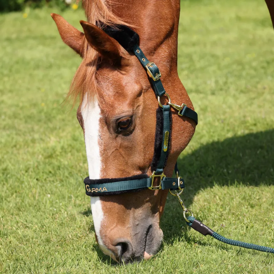 Shires Equestrian ARMA Logo Headcollar & Lead Rope