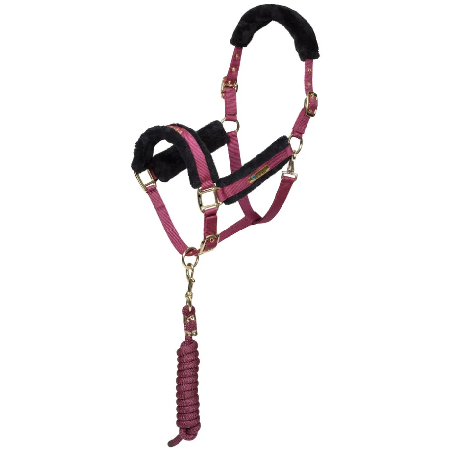 Shires Equestrian ARMA Logo Headcollar & Lead Rope