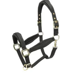 Shires Equestrian ARMA Padded Headcollar