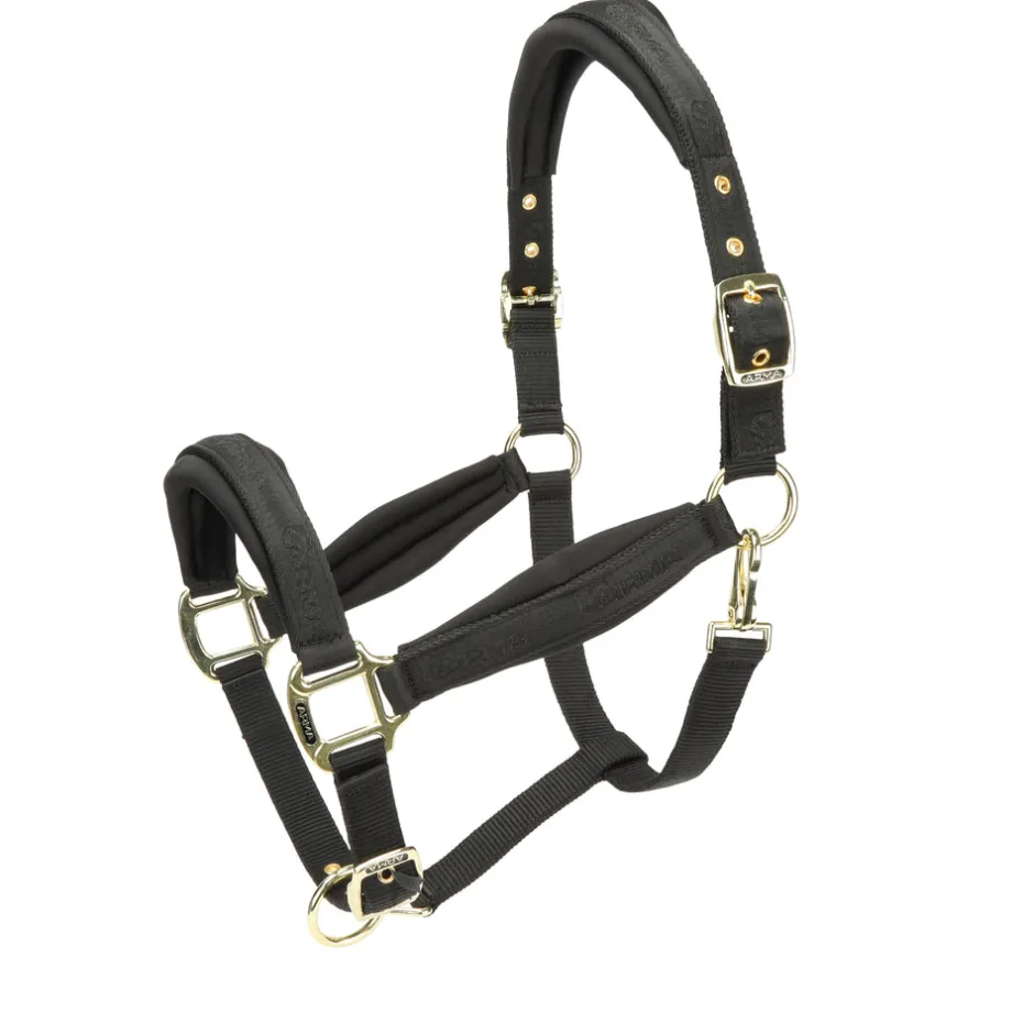 Shires Equestrian ARMA Padded Headcollar