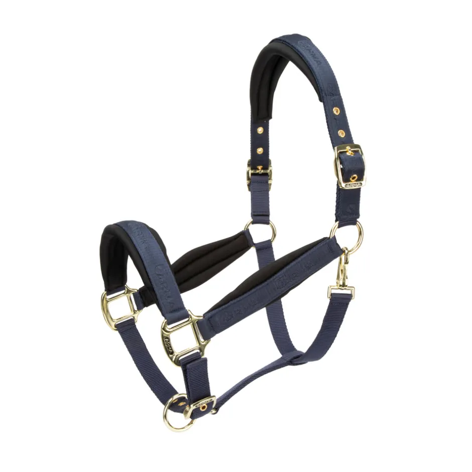 Shires Equestrian ARMA Padded Headcollar
