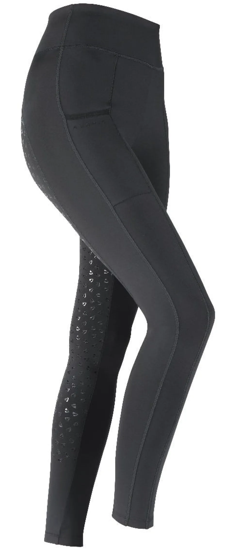 Women Shires Equestrian Aubrion Hudson Riding Tights