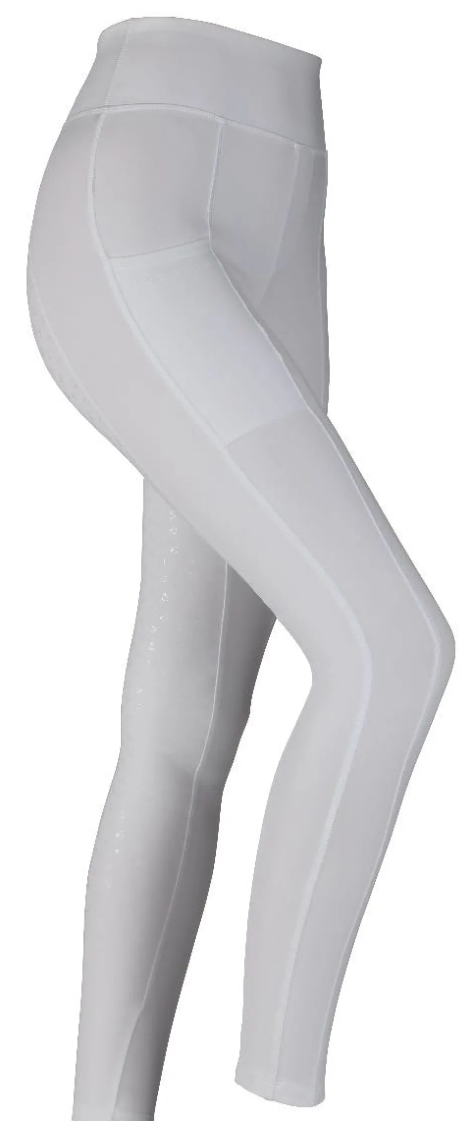 Women Shires Equestrian Aubrion Hudson Riding Tights