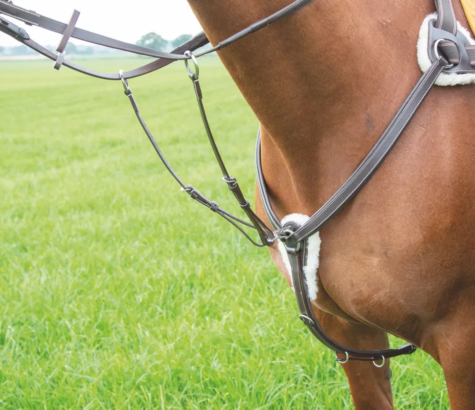 Shires Equestrian Avignon 5 Point Breastplate