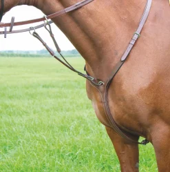 Shires Equestrian Avignon Breastplate