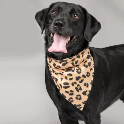 Shires Equestrian Digby & Fox Bandana