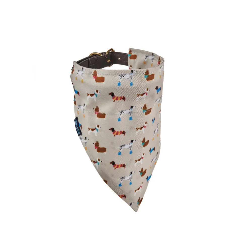 Shires Equestrian Digby & Fox Bandana