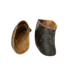 Shires Equestrian Digby & Fox Buffalo Hoof