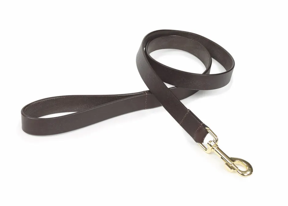 Shires Equestrian Digby & Fox Flat Leather Dog Lead