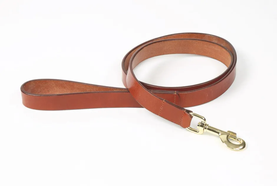Shires Equestrian Digby & Fox Flat Leather Dog Lead