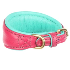 Shires Equestrian Digby & Fox Padded Greyhound Collar