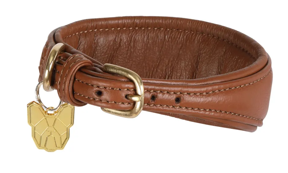 Shires Equestrian Digby & Fox Padded Greyhound Collar