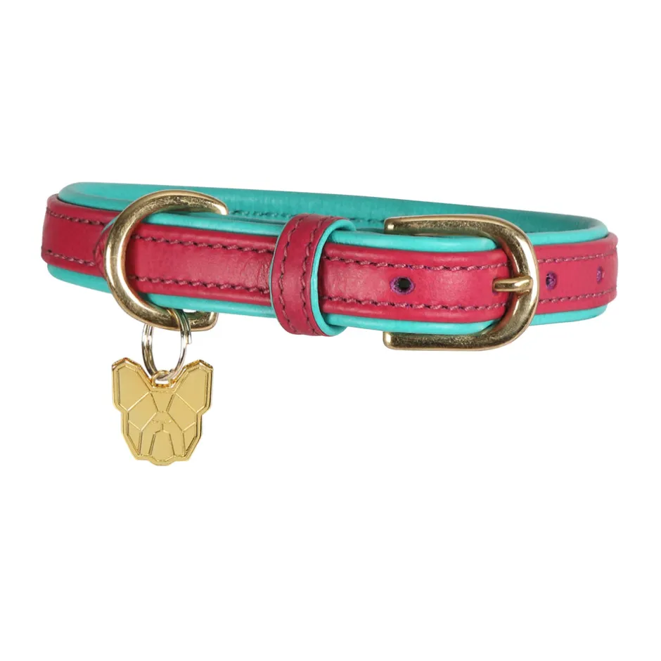 Shires Equestrian Digby & Fox Padded Leather Dog Collar
