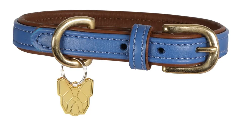 Shires Equestrian Digby & Fox Padded Leather Dog Collar