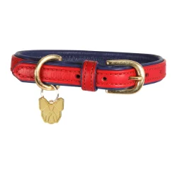 Shires Equestrian Digby & Fox Padded Leather Dog Collar