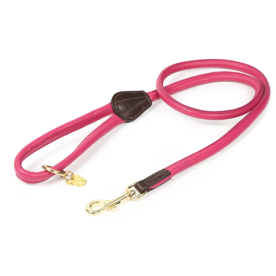 Shires Equestrian Digby & Fox Rolled Leather Dog Lead