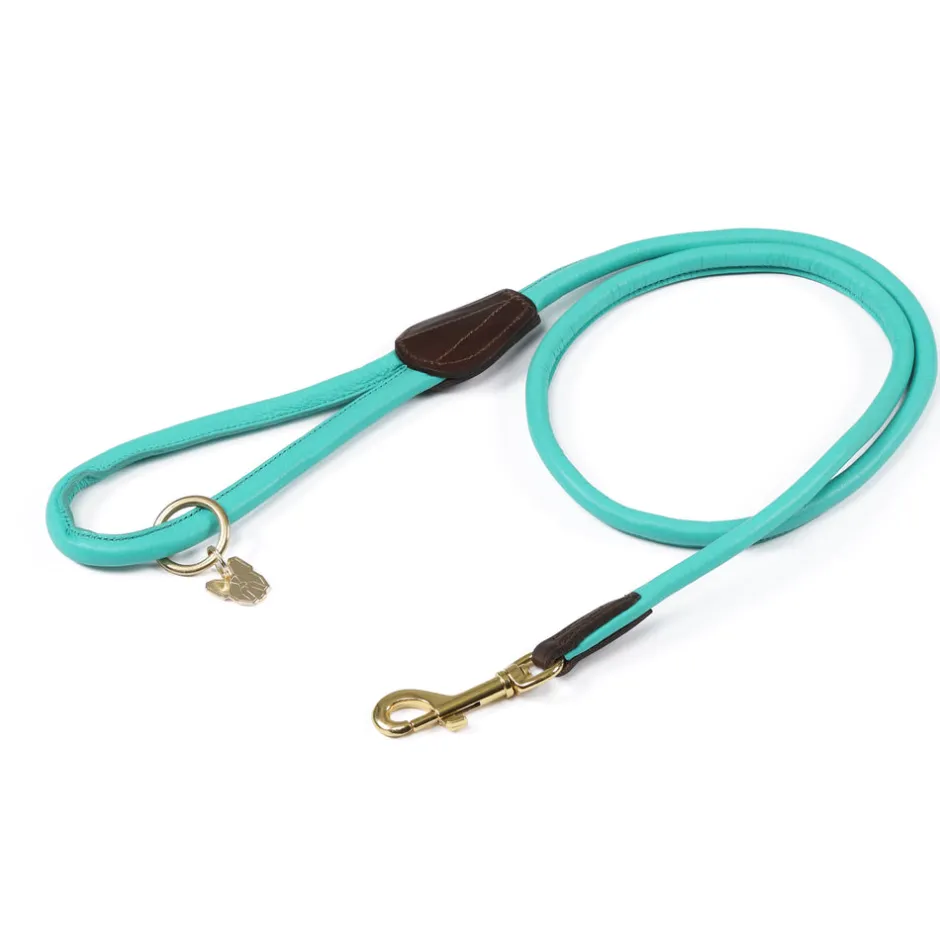 Shires Equestrian Digby & Fox Rolled Leather Dog Lead