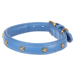 Shires Equestrian Digby & Fox Star Dog Collar