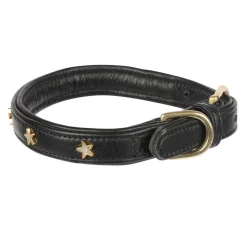 Shires Equestrian Digby & Fox Star Dog Collar