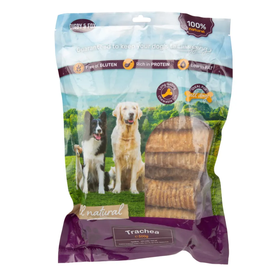 Shires Equestrian Digby & Fox Trachea
