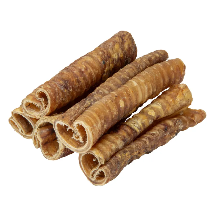 Shires Equestrian Digby & Fox Trachea