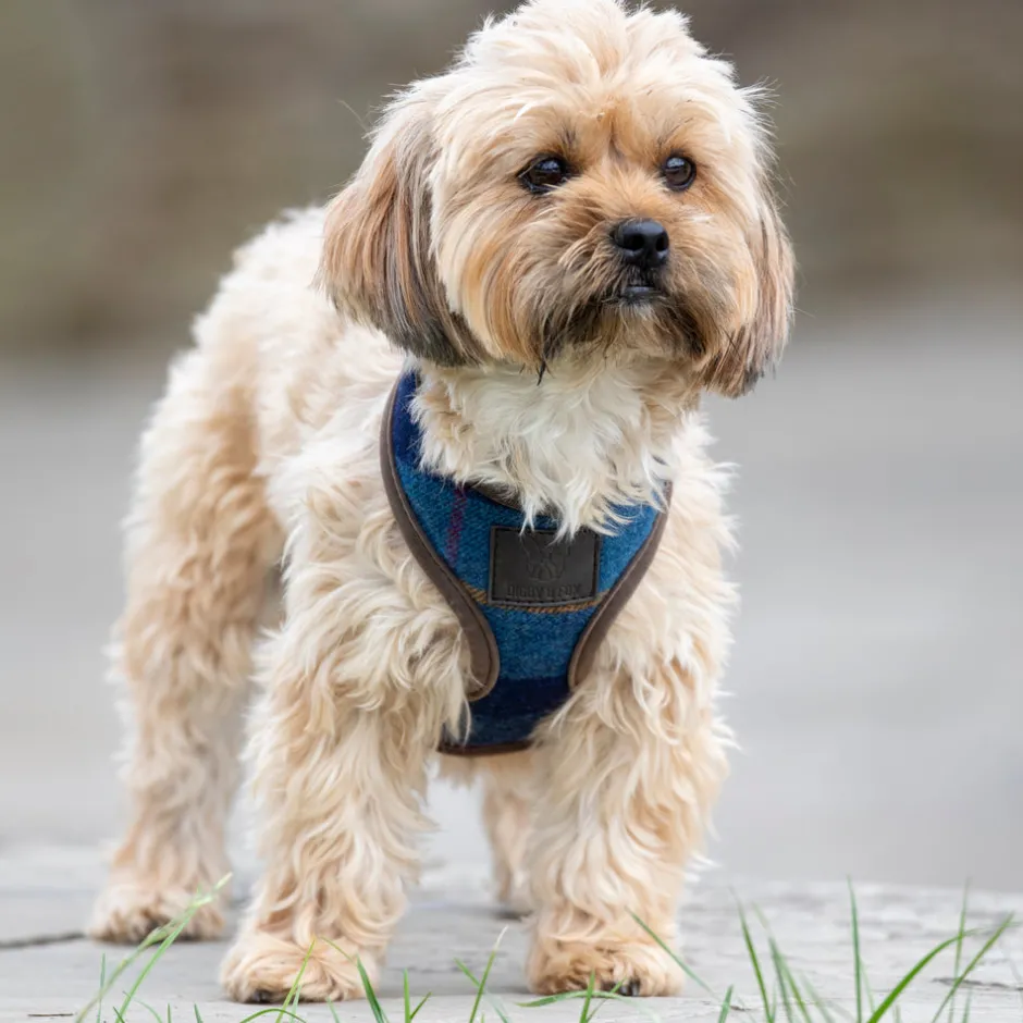 Shires Equestrian Digby & Fox Tweed Dog Harness