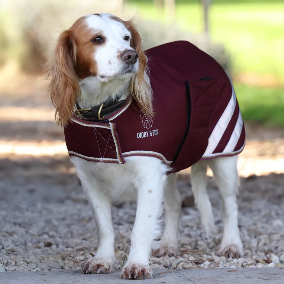 Shires Equestrian Digby & Fox Waterproof Dog Coat