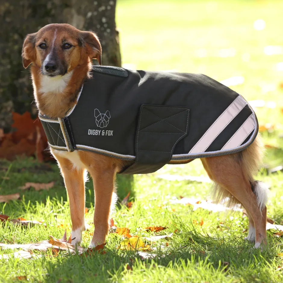 Shires Equestrian Digby & Fox Waterproof Dog Coat