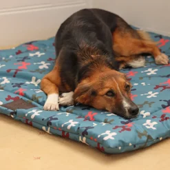 Shires Equestrian Digby & Fox Waterproof Padded Dog Bed