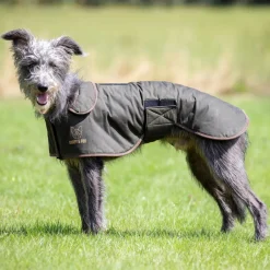 Shires Equestrian Digby & Fox Wax Greyhound Coat