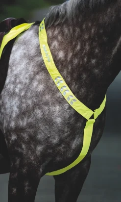 Shires Equestrian EQUI-FLECTOR® Breastplate