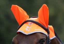 Shires Equestrian EQUI-FLECTOR® Fly Veil