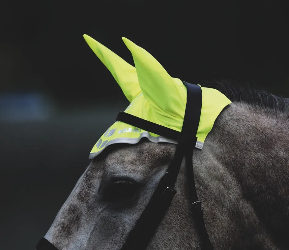 Shires Equestrian EQUI-FLECTOR® Fly Veil
