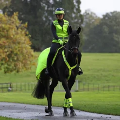 Shires Equestrian EQUI-FLECTOR® Mesh Exercise Sheet