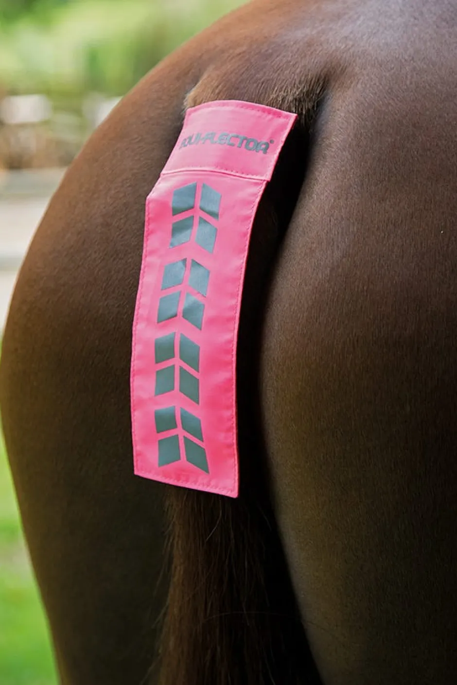 Shires Equestrian EQUI-FLECTOR® Tail Strap