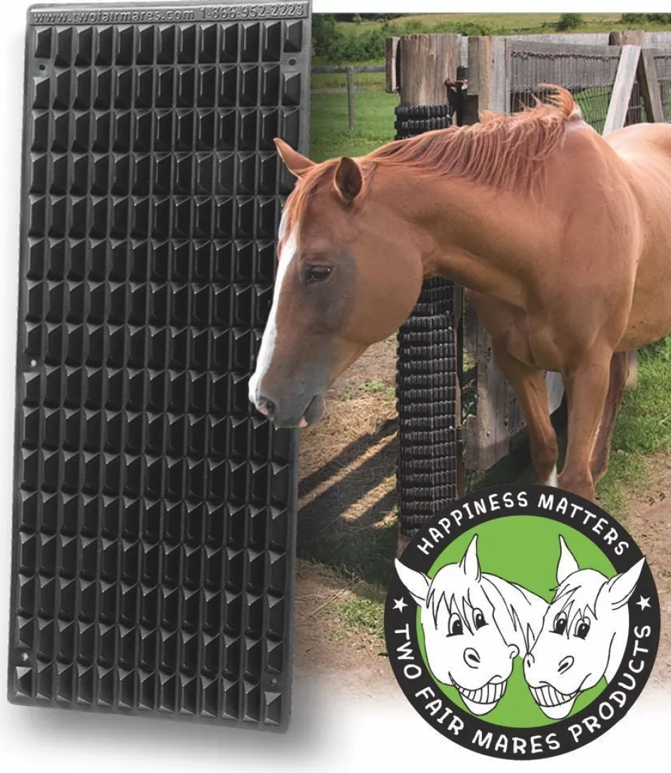 Shires Equestrian Equine Scratcher
