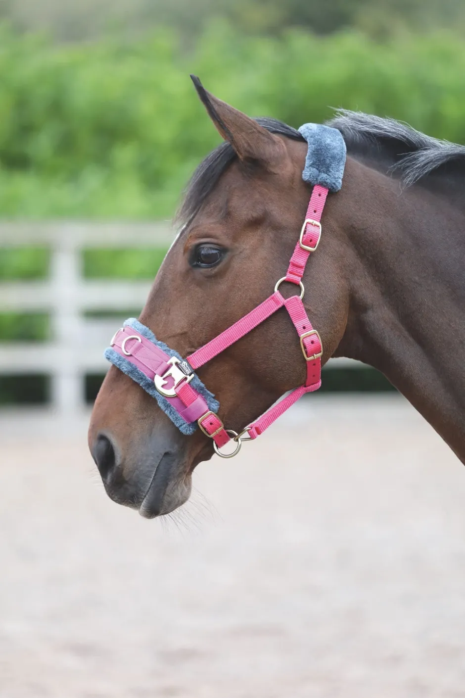 Shires Equestrian Fleece Lined Lunge Cavesson