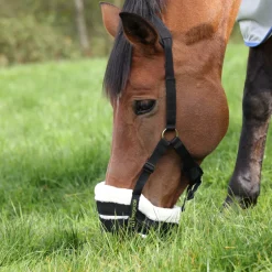 Shires Equestrian FreeGraze Deluxe Comfort Grazing Muzzle