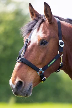 Shires Equestrian Greenguard Headcollar