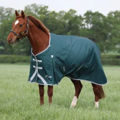 Shires Equestrian Highlander Original 300 Turnout Rug