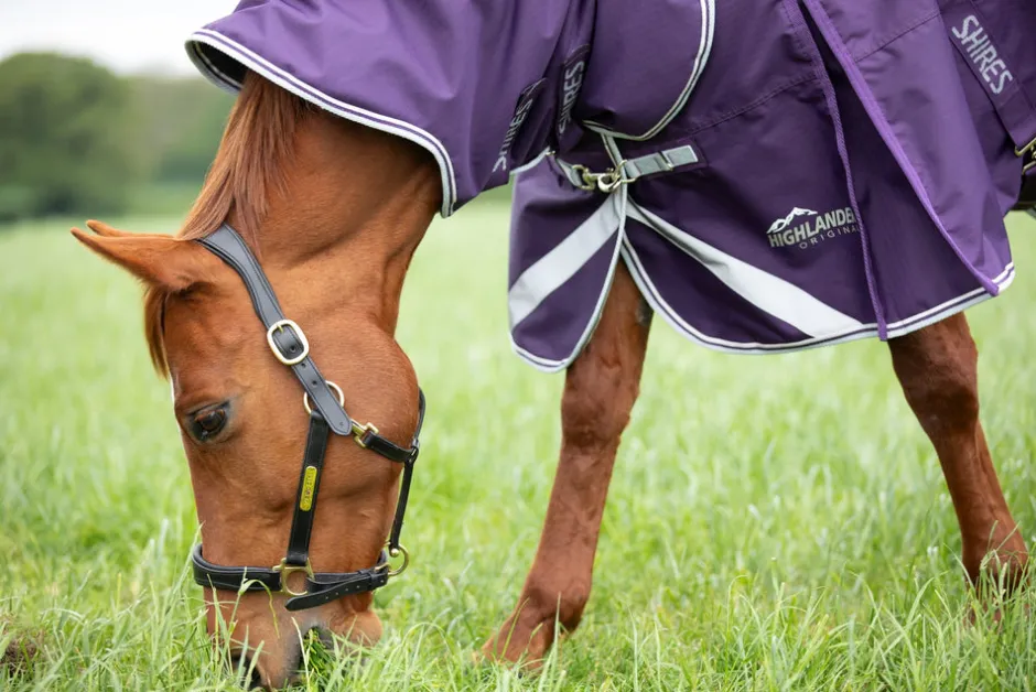 Shires Equestrian Highlander Original 100 Turnout Rug & Neck Set