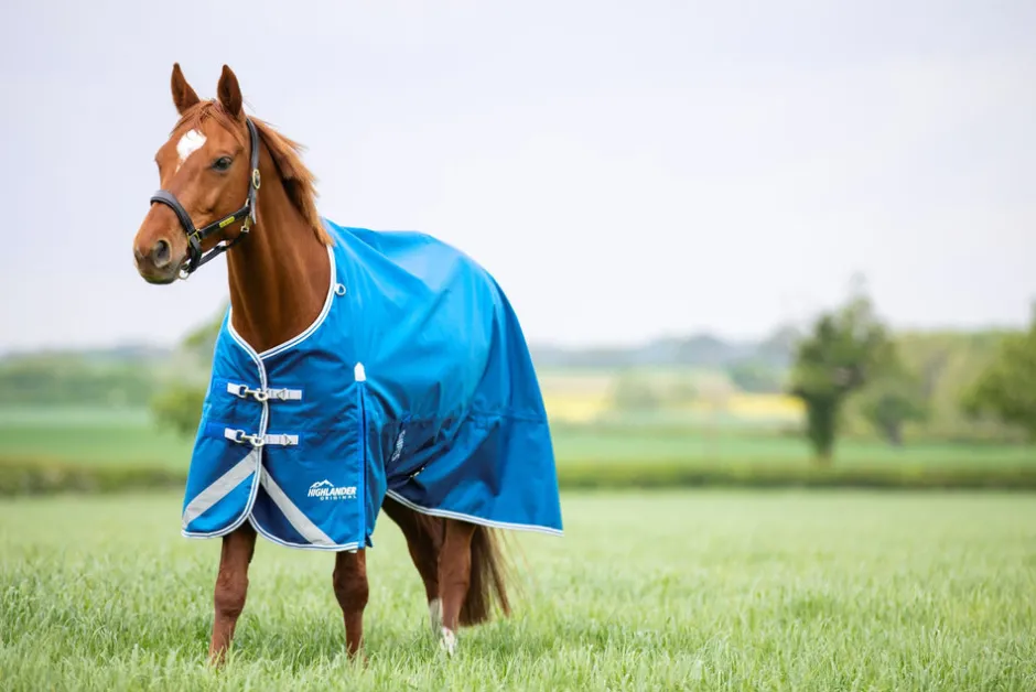 Shires Equestrian Highlander Original 200 Turnout Rug