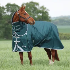 Shires Equestrian Highlander Original 300 Turnout Rug & Neck Set