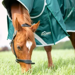 Shires Equestrian Highlander Original 300 Turnout Rug & Neck Set