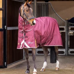 Shires Equestrian Highlander Plus 100 Combo Turnout Rug