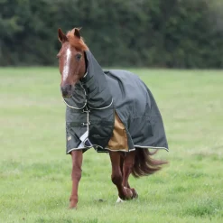 Shires Equestrian Highlander Plus 50 Combo Turnout Rug