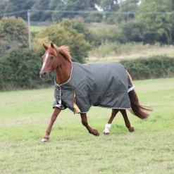 Shires Equestrian Highlander Plus 50 Turnout Rug